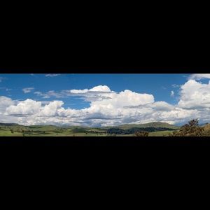 Meet your Posher, Shavez